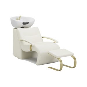 Shampoo Chairs